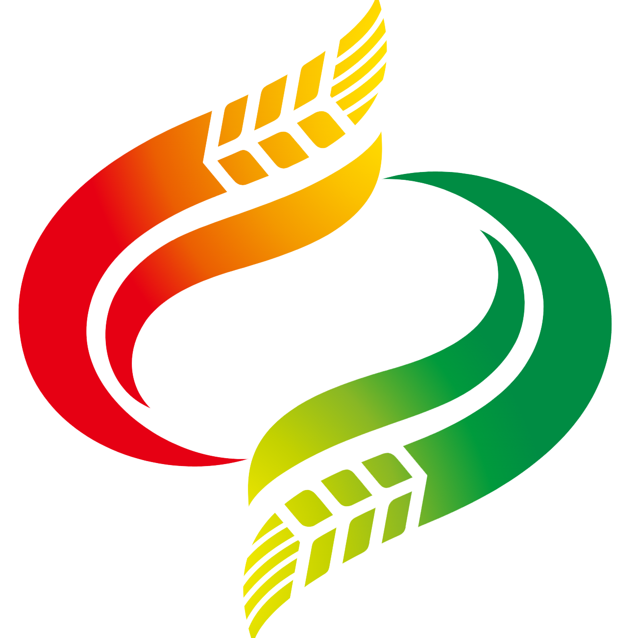 站点图标